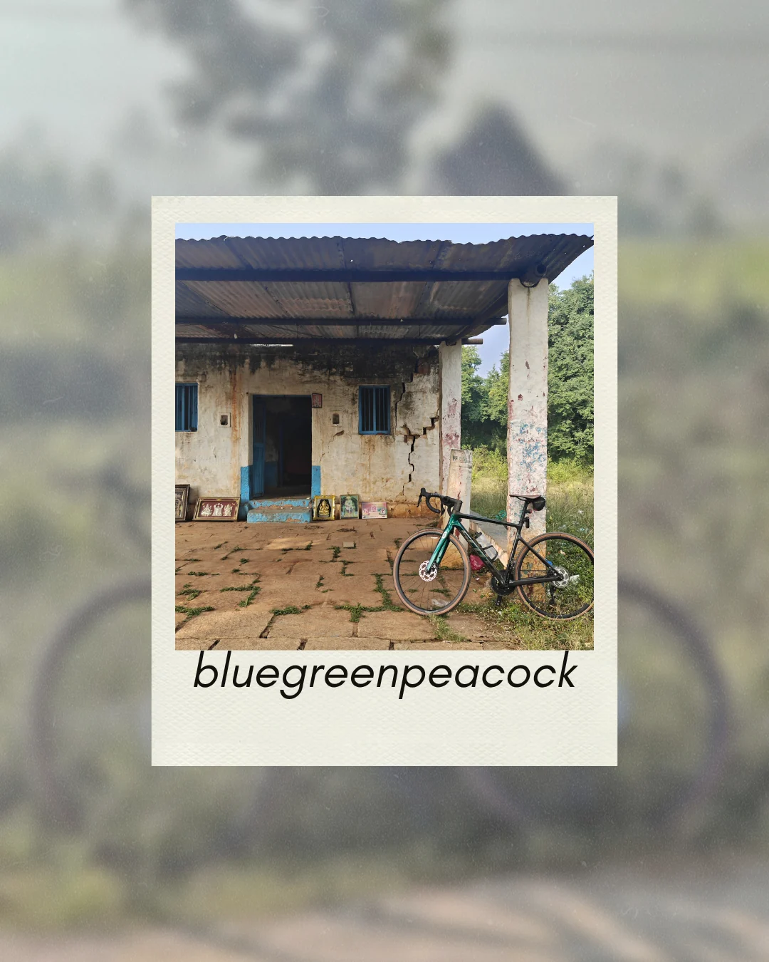 Photo collage of Bluegreenpeacock, my Scott Addict RC 20