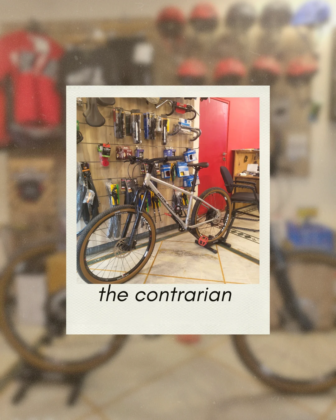 The Contrarian, gallery photo 2